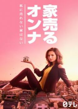 日本剧 卖房子的女人海报
