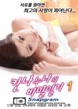 韩国片 姐姐的情人日记海报